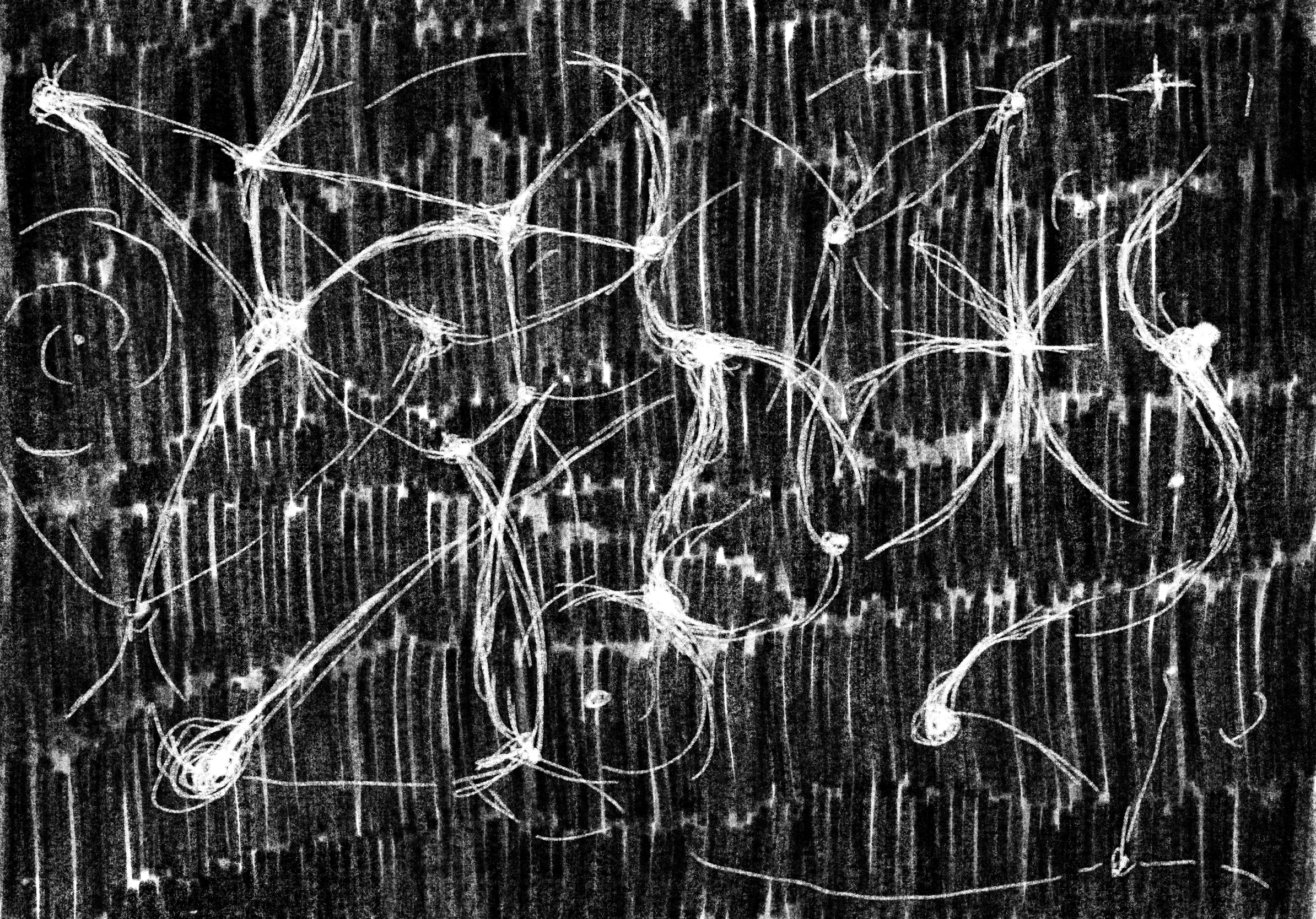 Spooky Science: Dark Matter