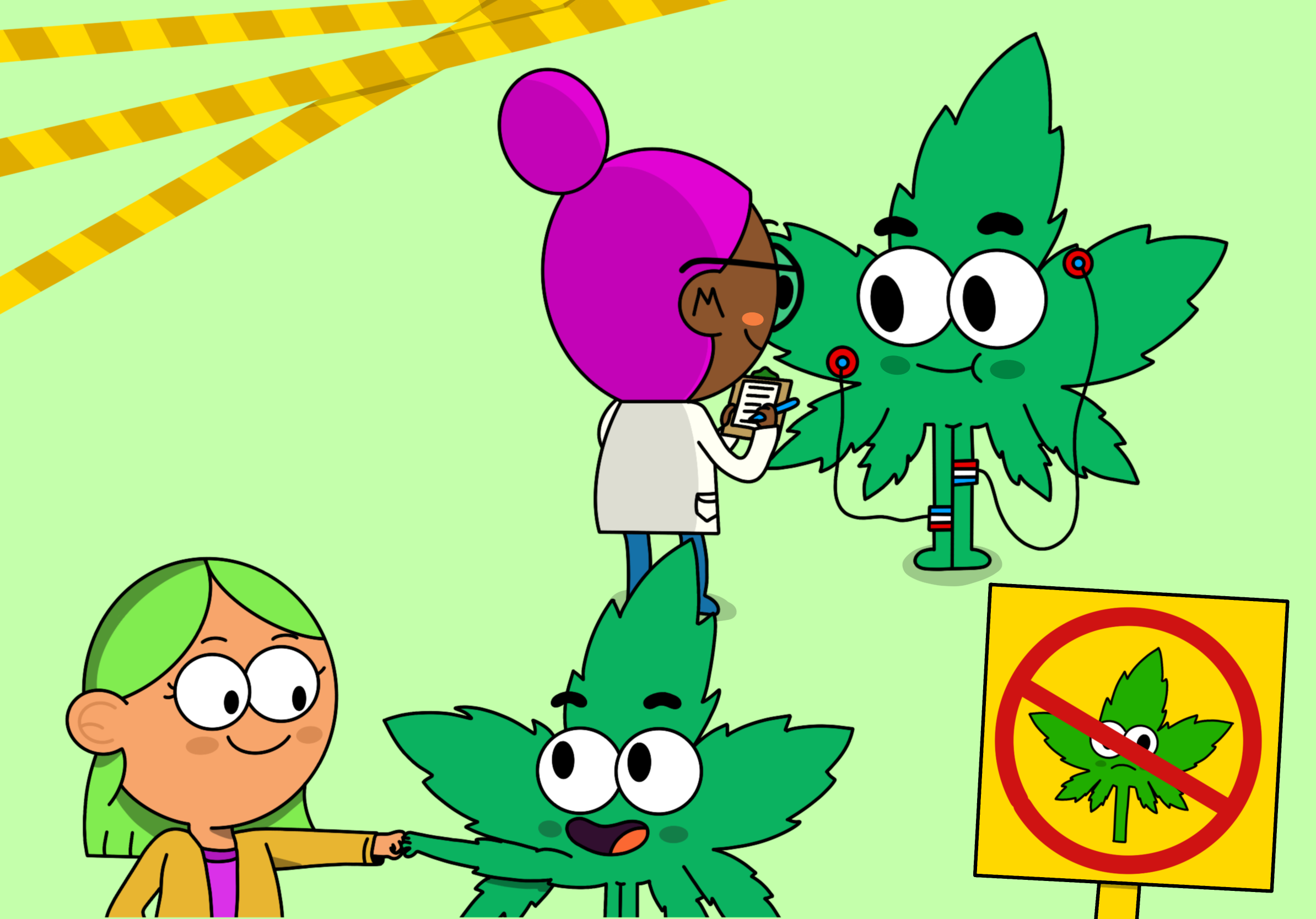 4 Main Misconceptions about Cannabis