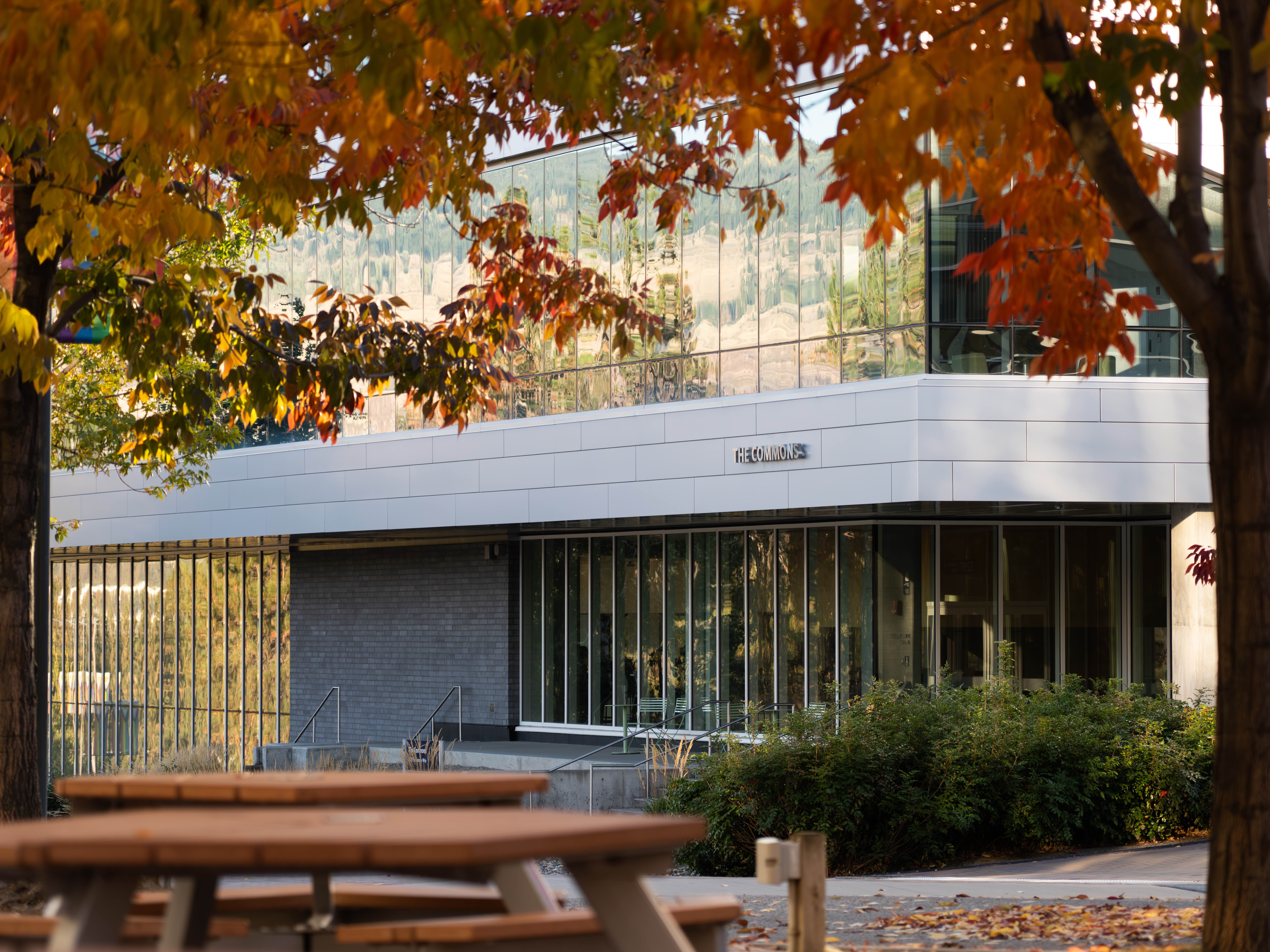 Golden Leaves and Silent Science: The Season of Fall