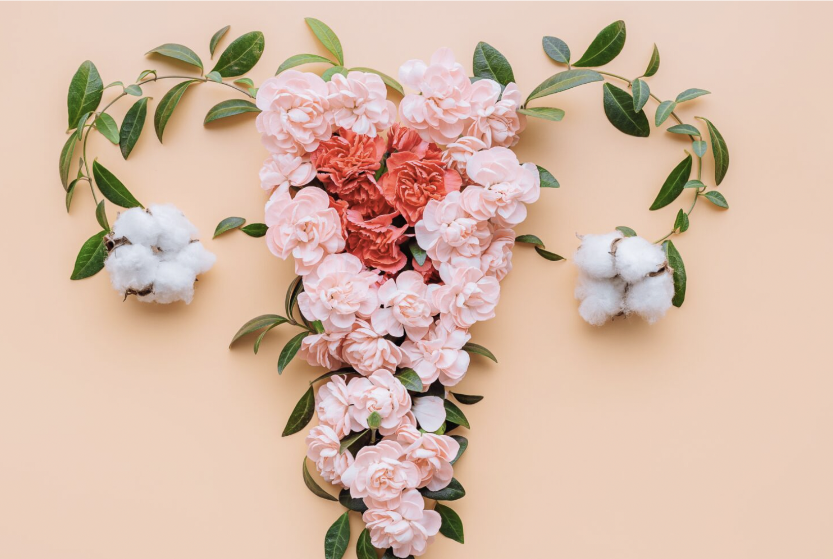 RESToRE: Empowering Women’s Health Through Uterine Cancer Research
