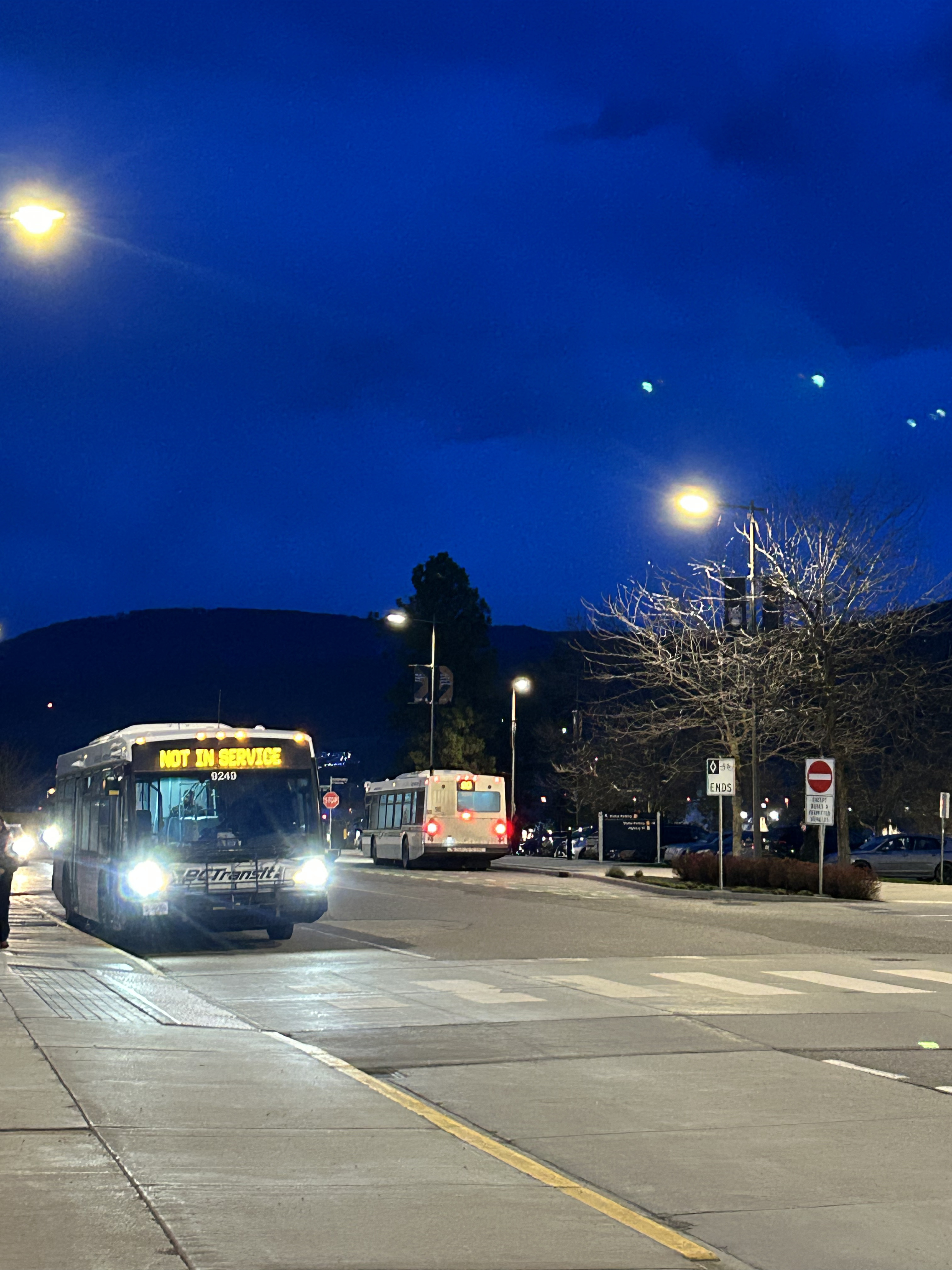 Who is Public Transit for?: A Disability Perspective
